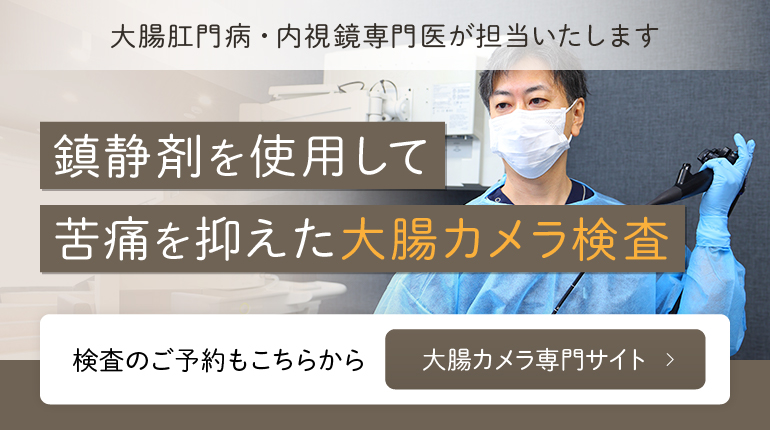大腸カメラ 専門サイト